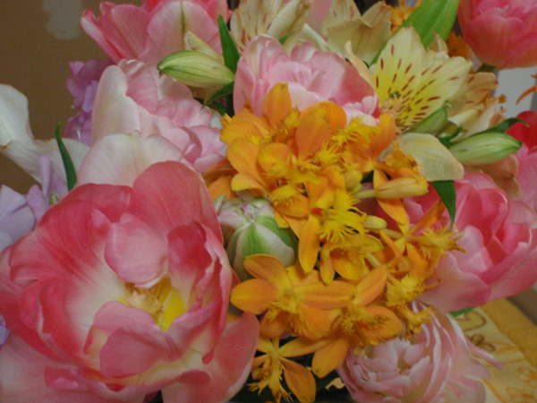 grp0227001745.jpg 600450 129K