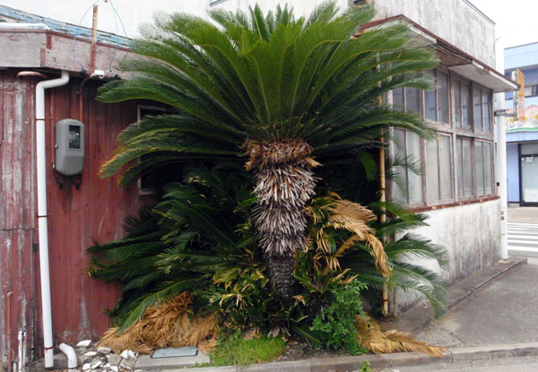 grp0503123646.jpg 600415 78K