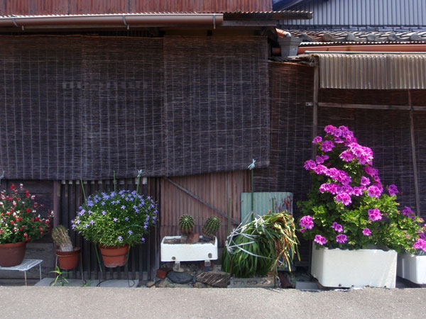 grp0516201623.jpg 600450 79K