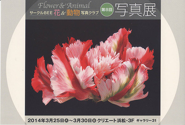 grp0314104746.jpg 600405 67K