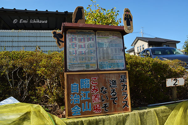 grp1104133108.jpg 600400 109K