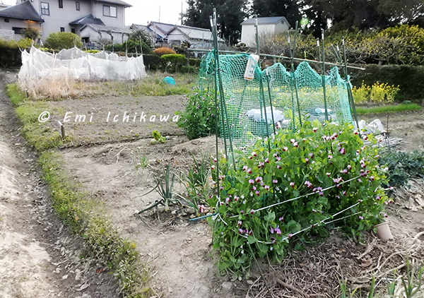 grp0401232003.jpg 600422 233K