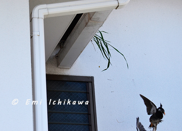 grp0429175743.jpg 600433 129K