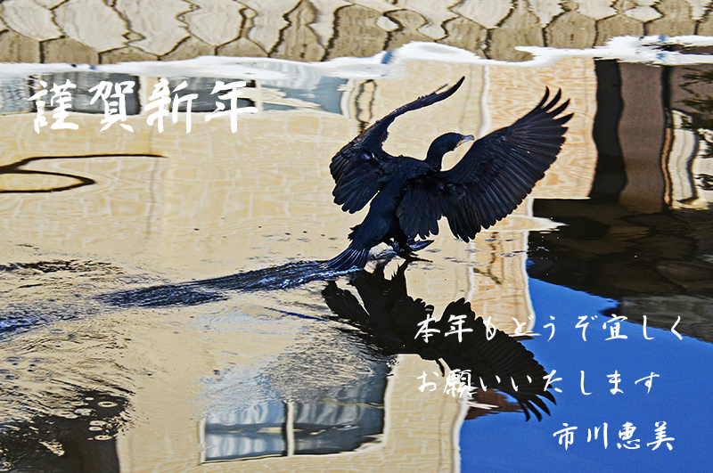 grp0101004032.jpg 800531 316K