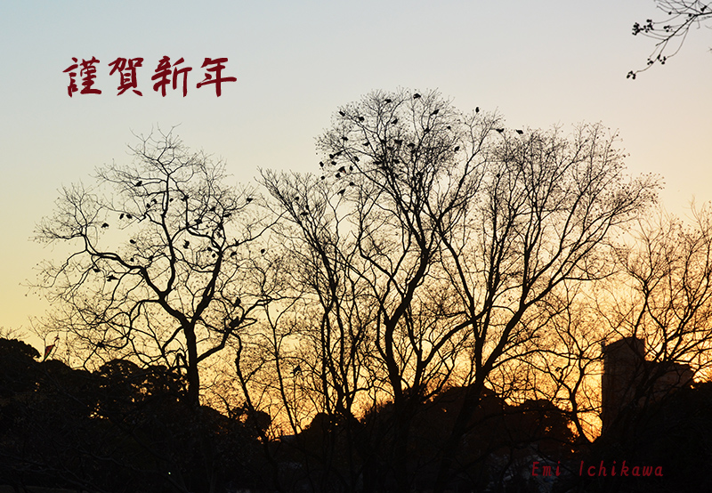 grp0101000915.jpg 800554 385K
