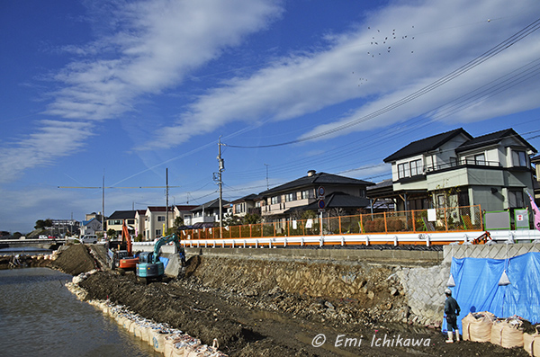 grp1208230013.jpg 600397 173K