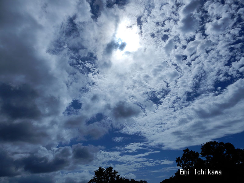 19-8-17cloud-and-a-treeDSCN.jpg 800600 84K