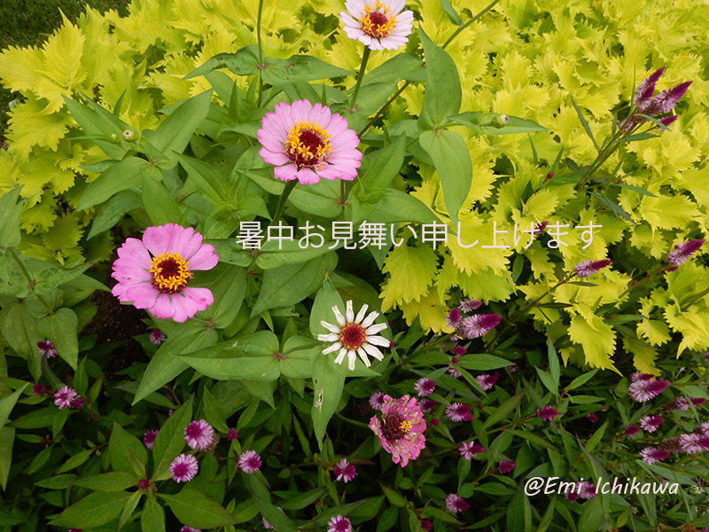grp0730125742.jpg 800600 222K