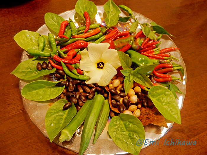 grp1016235312.jpg 700525 243K