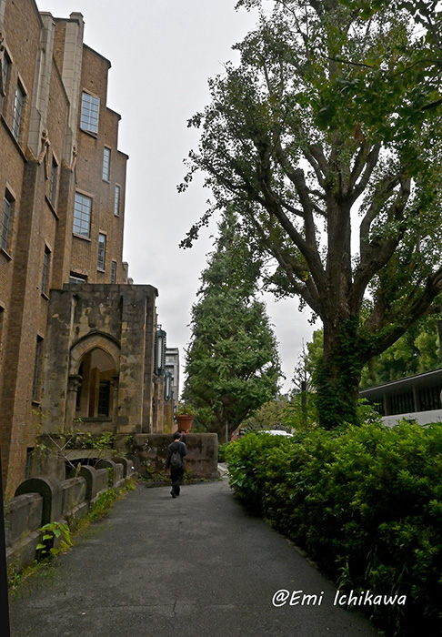 grp1108141447.jpg 486700 219K