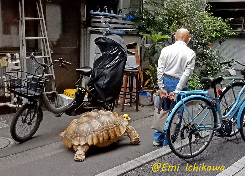 grp0106181232.jpg 800��576 294K